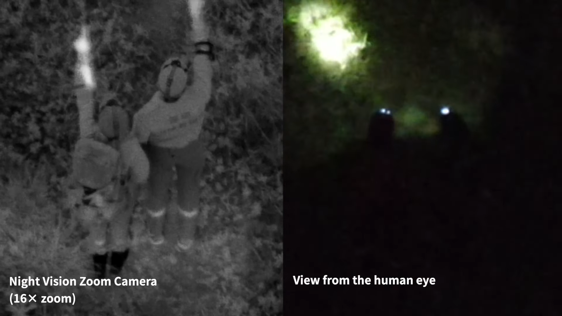 videoframe_4763.png